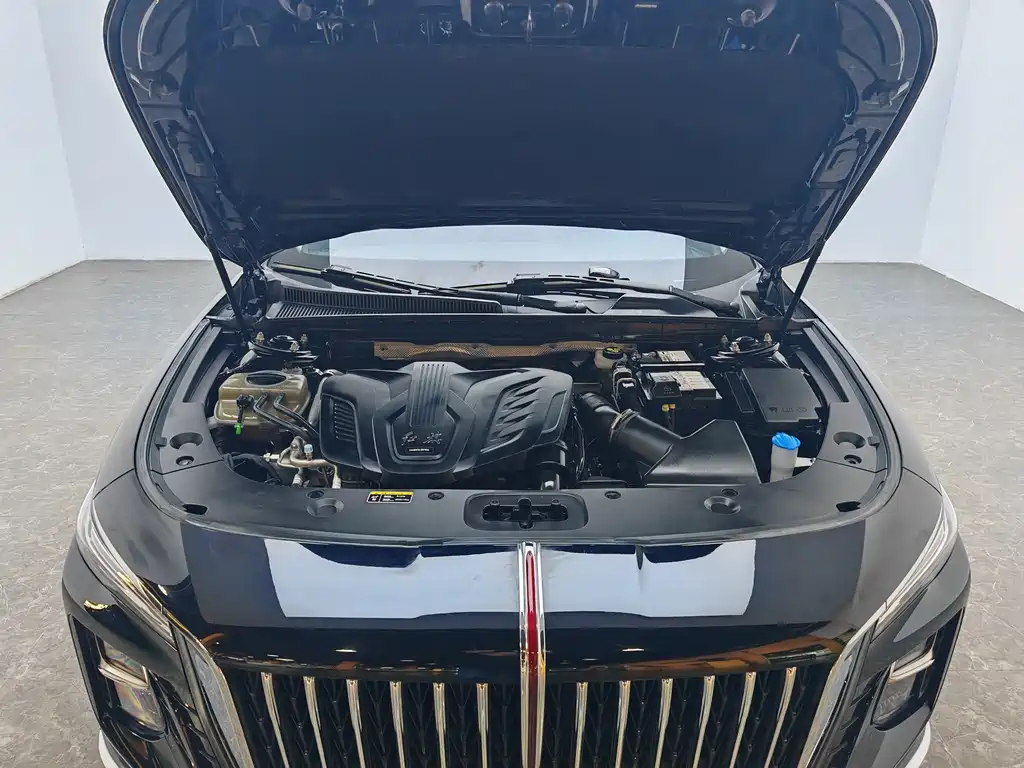 Hongqi HONGQI H5