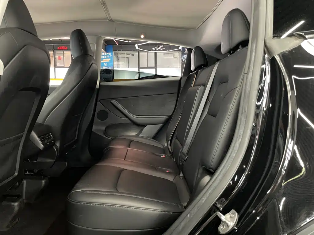 Tesla Model Y — миниатюра 10
