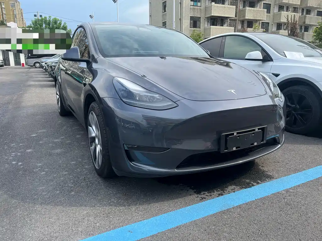 Tesla Model Y — миниатюра 3