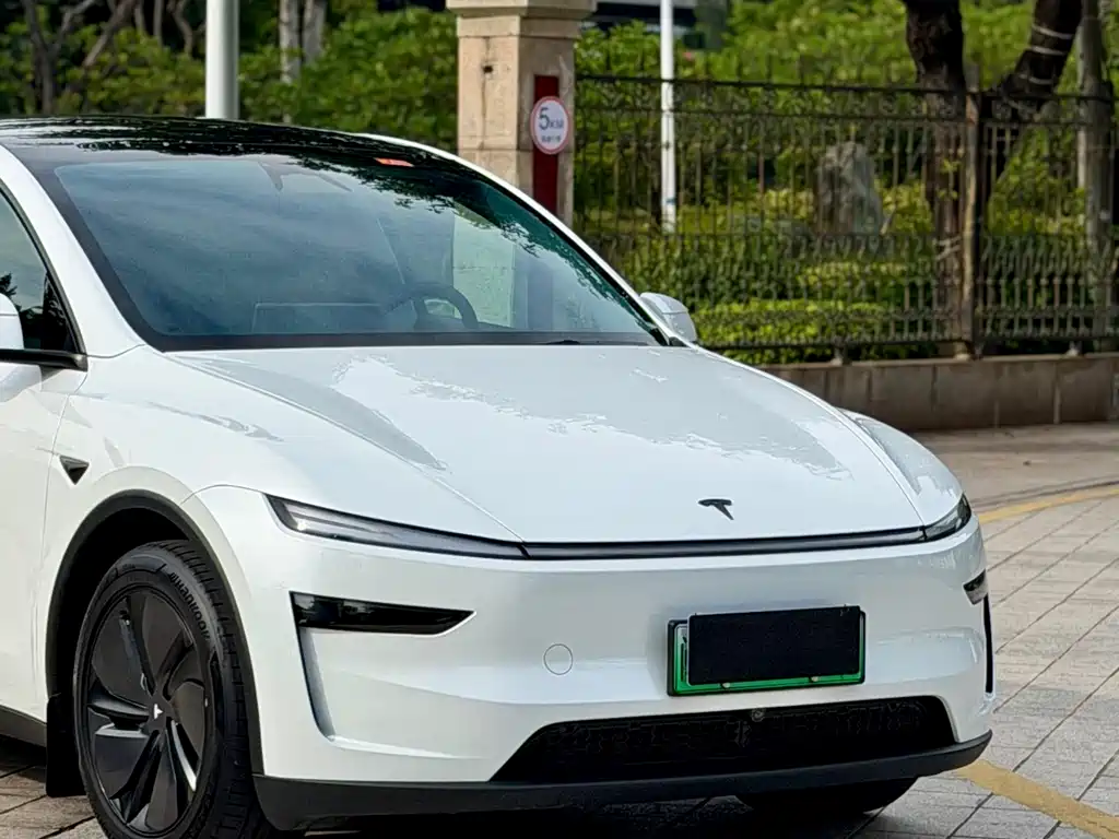 Tesla Model Y — миниатюра 3