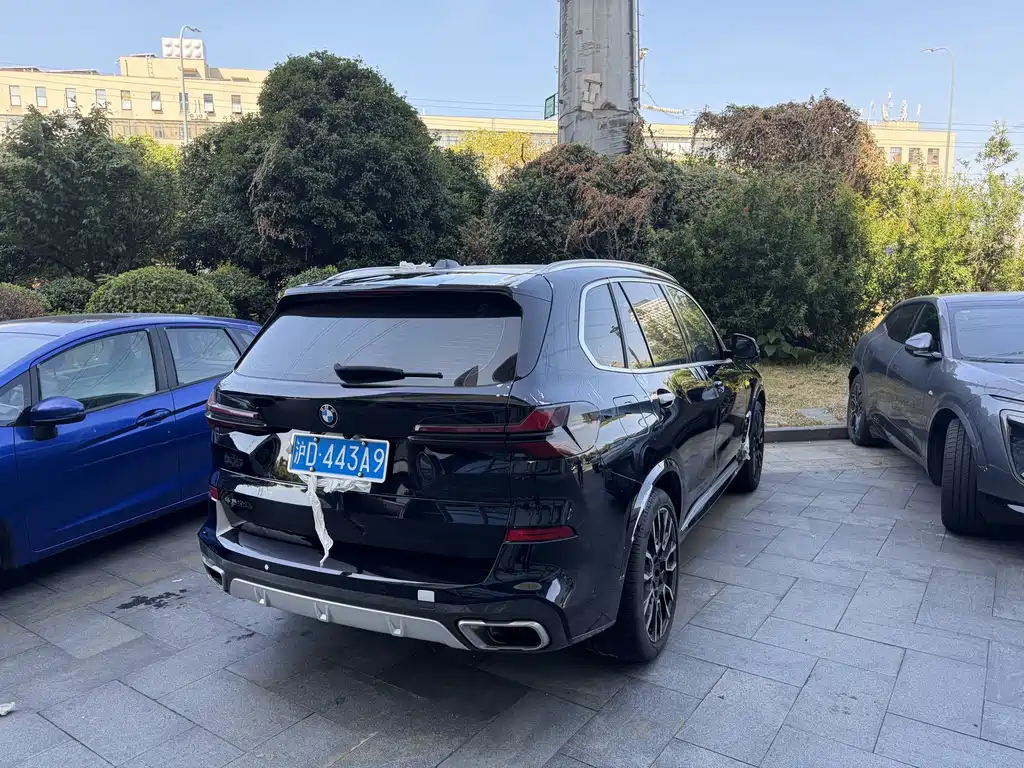 BMW X5 — миниатюра 8