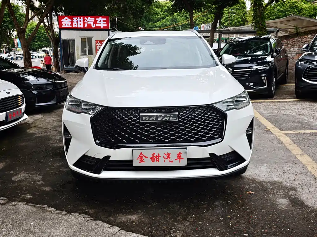 Haval H6 — миниатюра 2