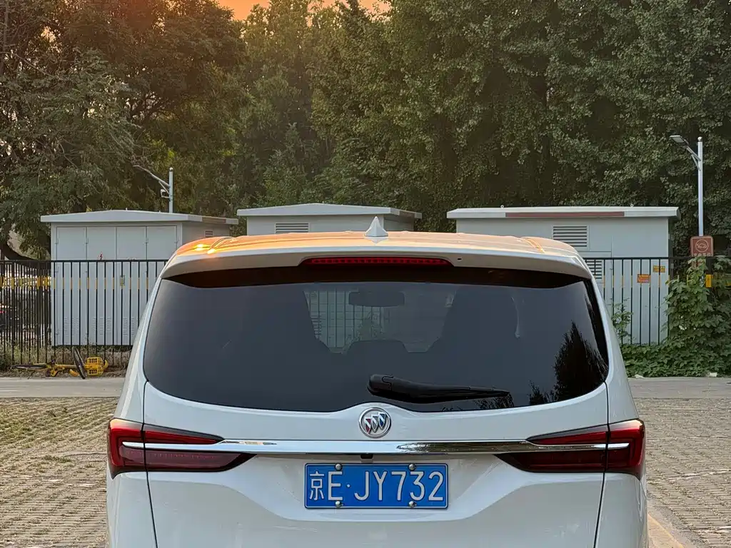 Buick GL8 — миниатюра 12