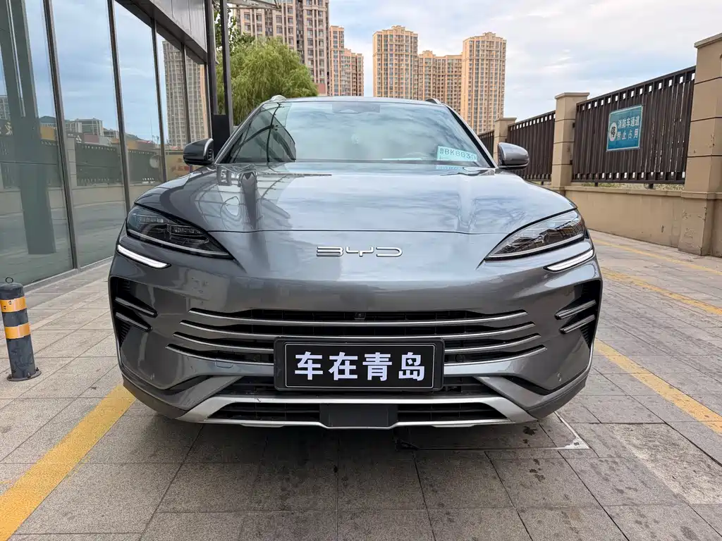 BYD PLUS New Energy — миниатюра 2