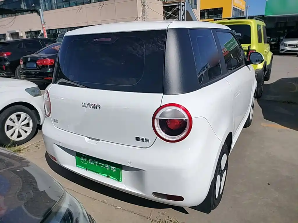 Qiyuan Lumin — миниатюра 6