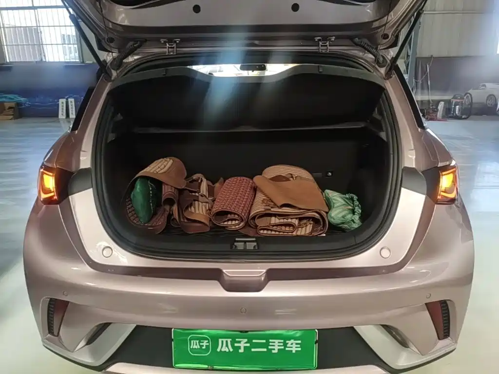 BYD Dolphin — миниатюра 19