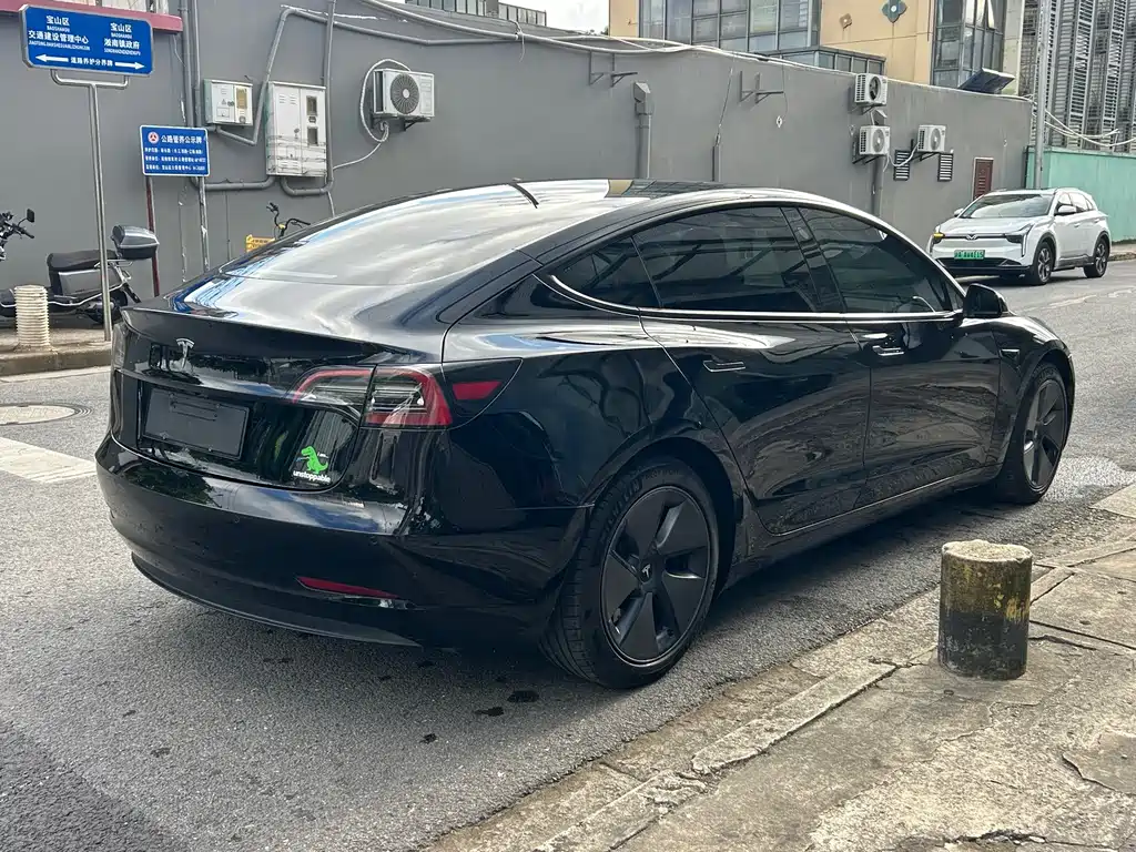Tesla Model 3 — миниатюра 5