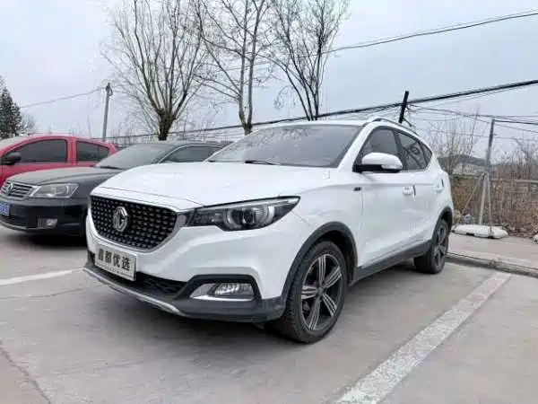 Mg ZS 2019