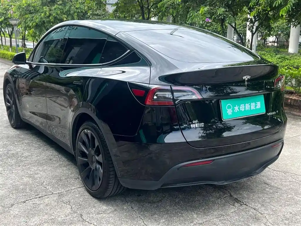 Tesla Model Y — миниатюра 6