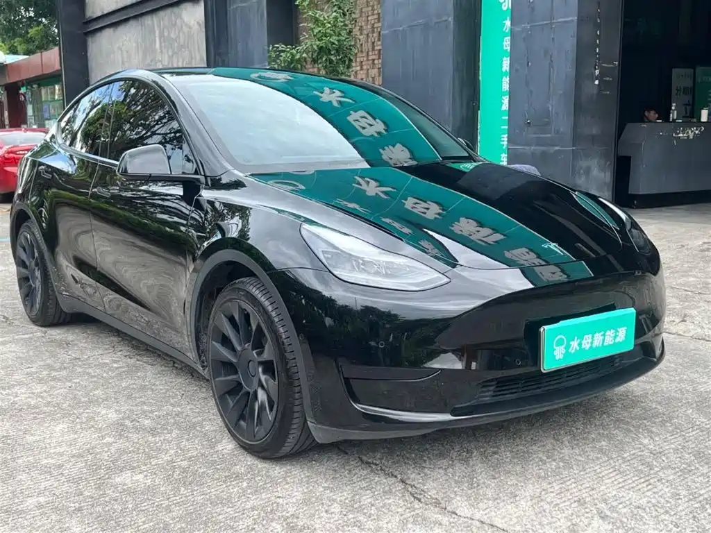 Tesla Model Y — миниатюра 10