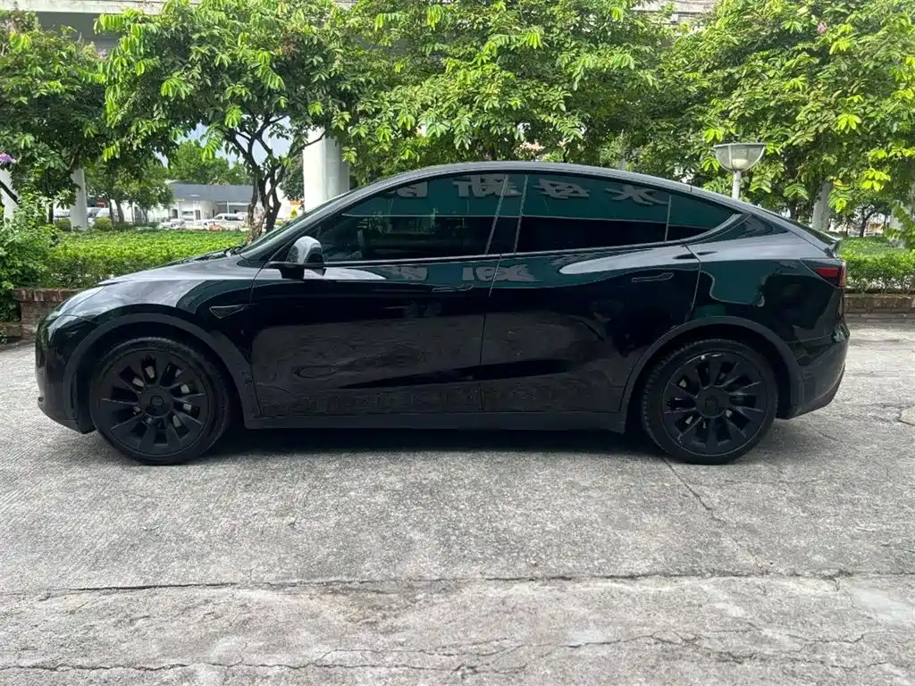 Tesla Model Y — миниатюра 9