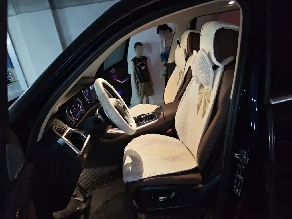 BMW X7 — миниатюра 8