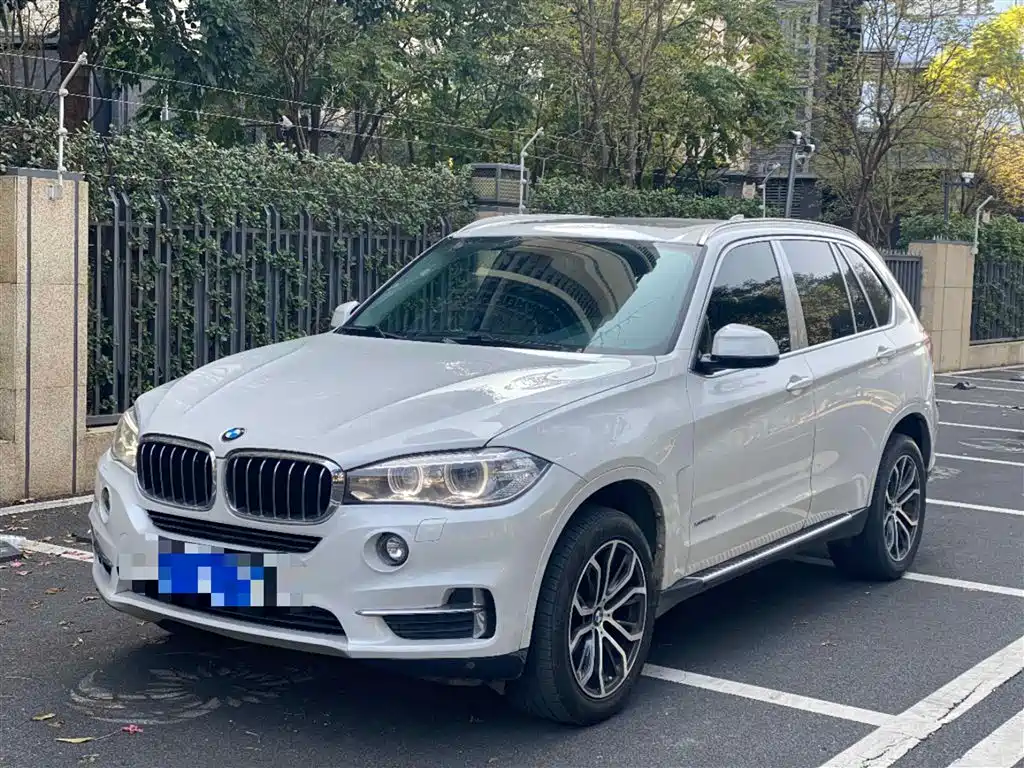 BMW X5 (Import) 2017