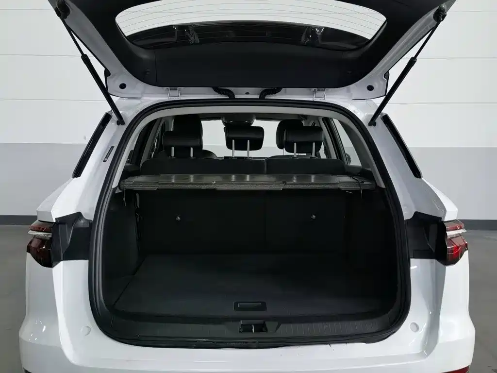 BYD Pro — миниатюра 16