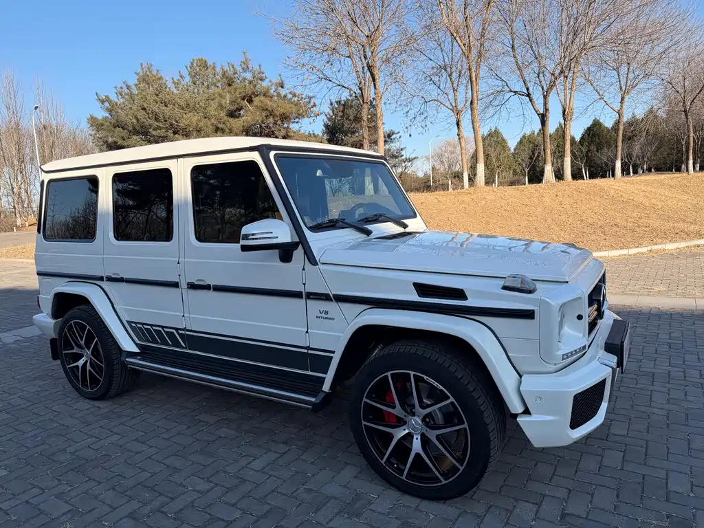 MERCEDES-BENZ G CLASS AMG