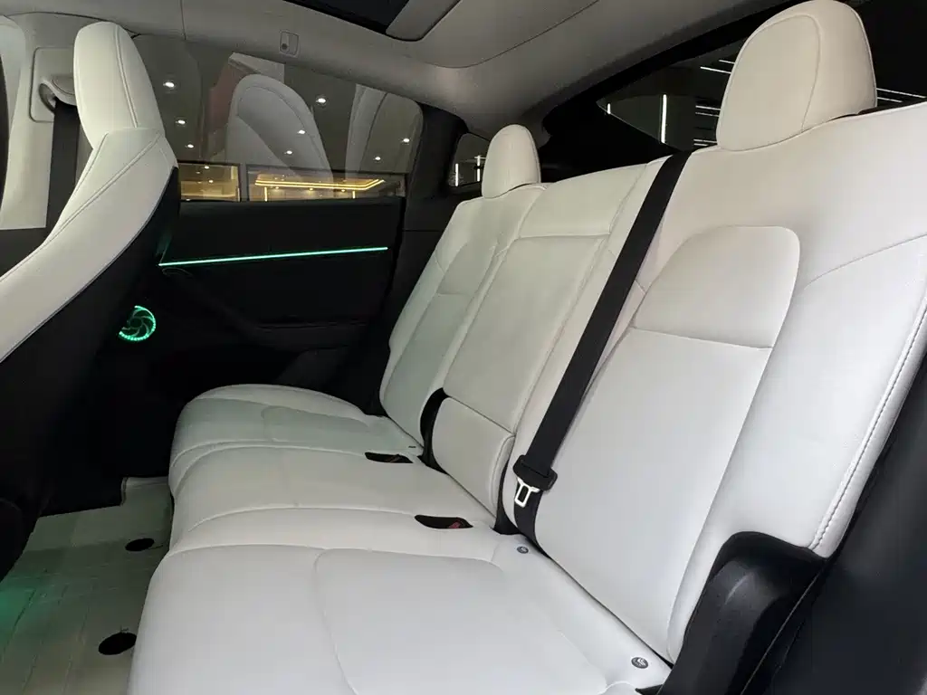 Tesla Model Y — миниатюра 12
