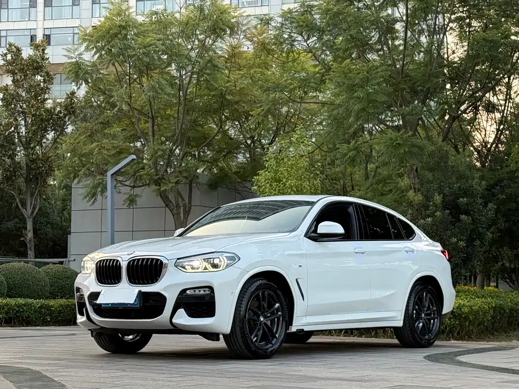 BMW X4 2019 xDrive25i M Sport