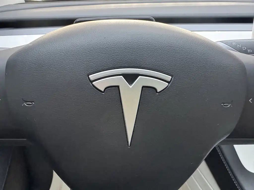 Tesla Model Y — миниатюра 20