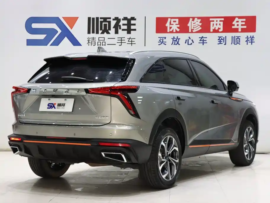 Haval Shenshou — миниатюра 5