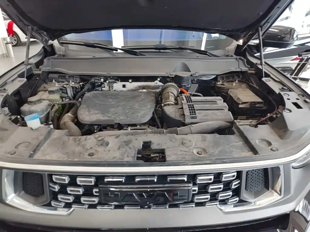 Haval Плюс новая энергия. — миниатюра 20