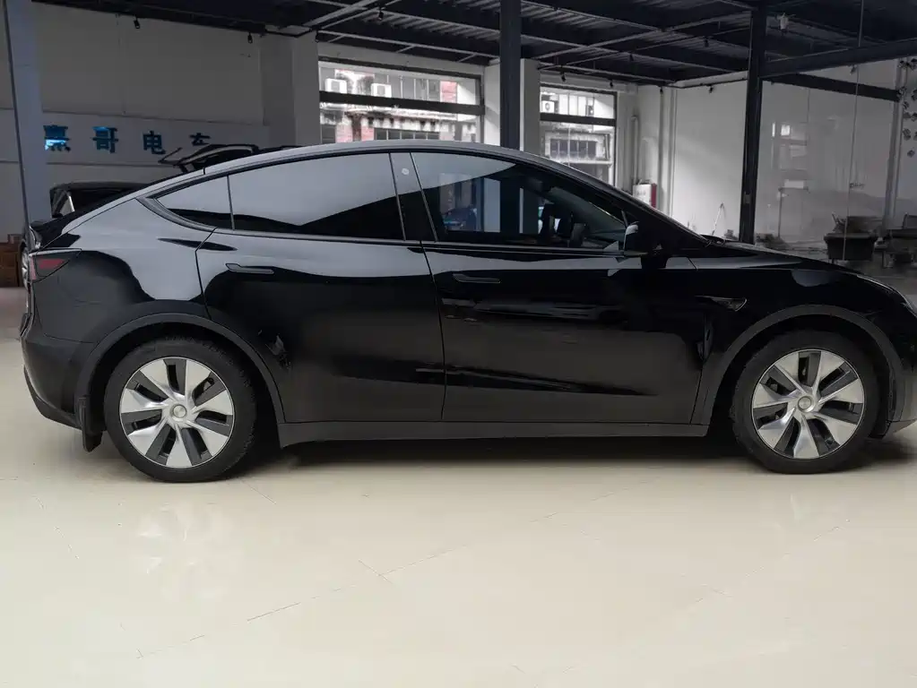 Tesla Model Y — миниатюра 3