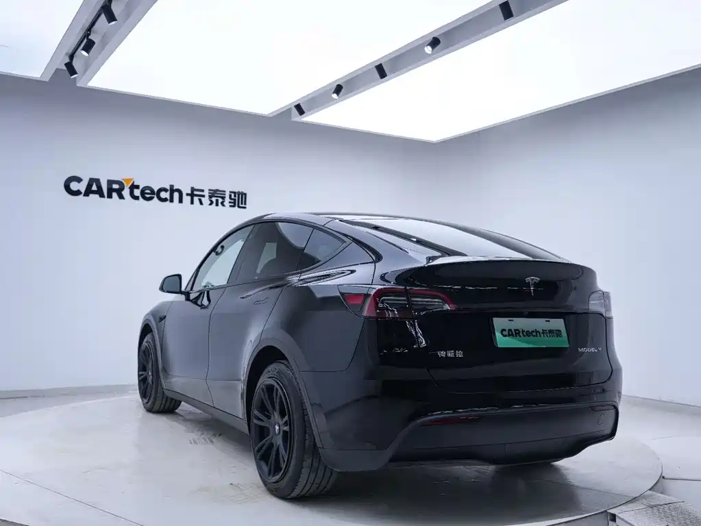 Tesla Model Y — миниатюра 19