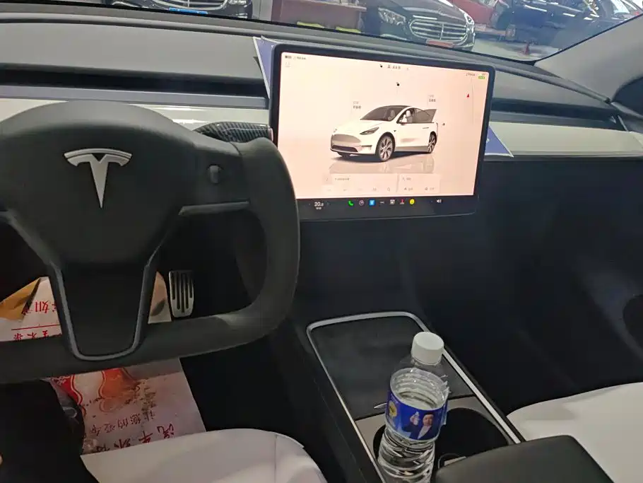 Tesla Model Y — миниатюра 12