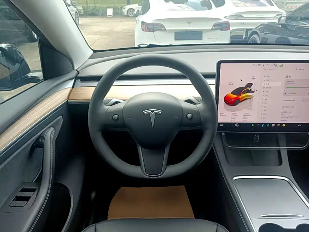 Tesla Model Y — миниатюра 11