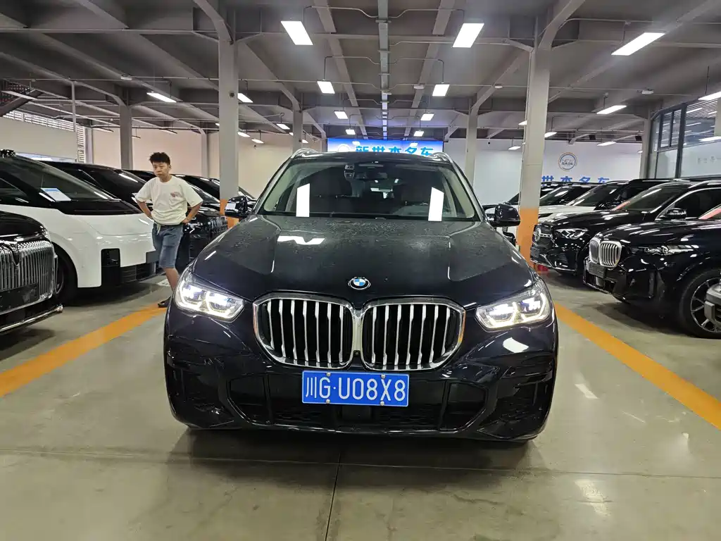 BMW X5 (Import) — миниатюра 2
