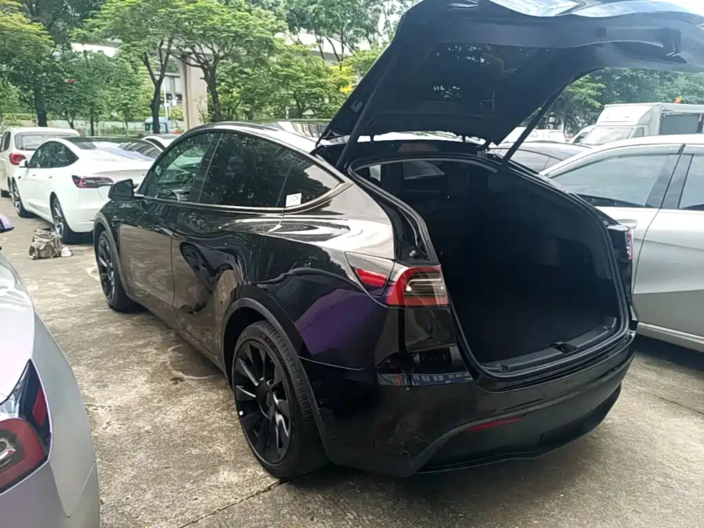Tesla Model Y — миниатюра 5
