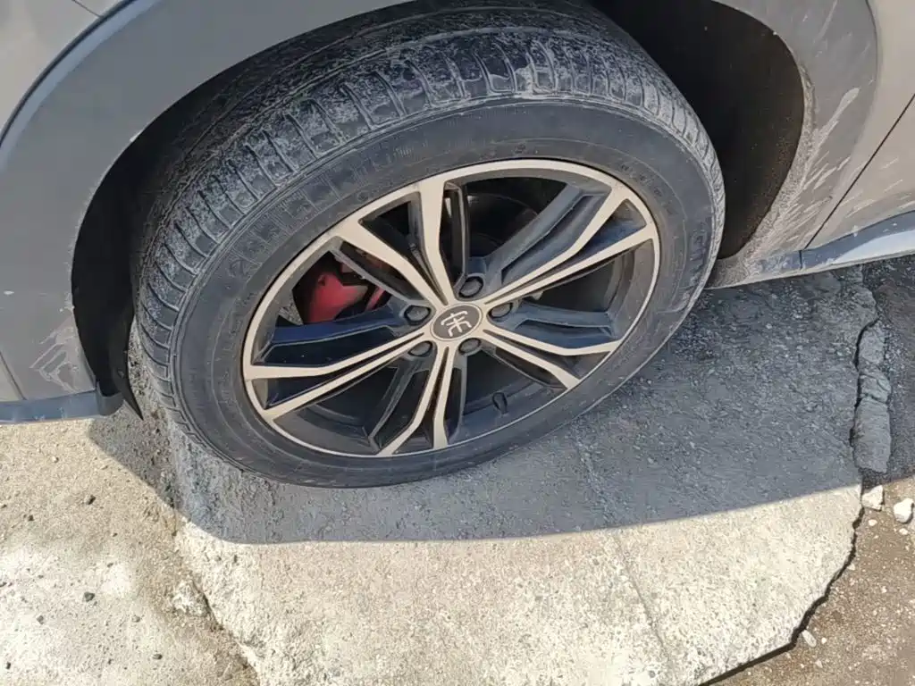 BYD PLUS — миниатюра 23