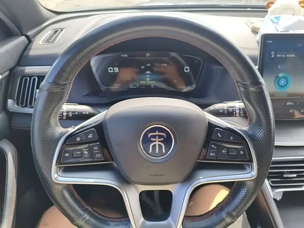 BYD PLUS — миниатюра 11