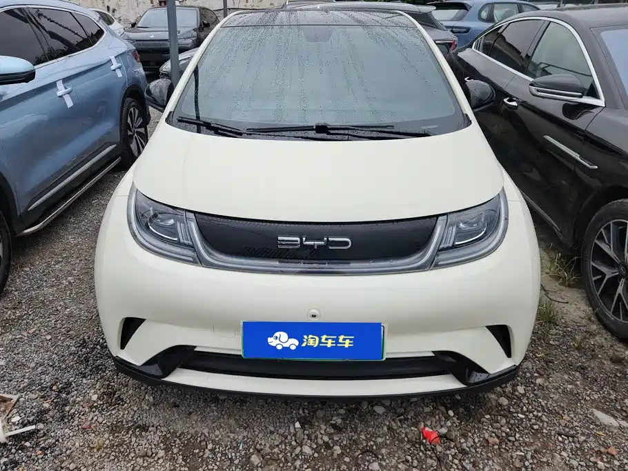 BYD Dolphin — миниатюра 2
