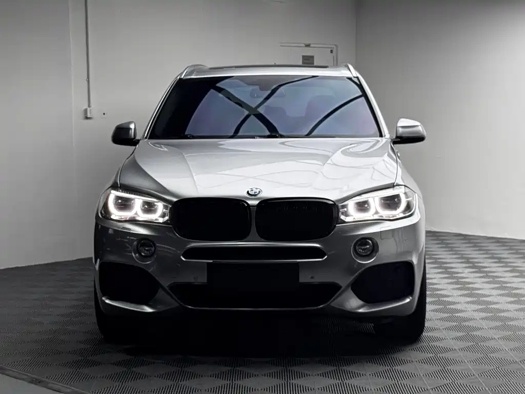 BMW X5 (Import) — миниатюра 2