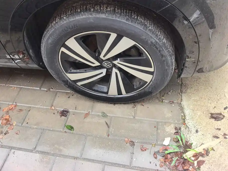 Volkswagen Tavendor — миниатюра 6