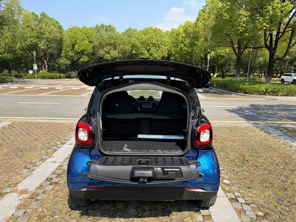 smart Smart Fortwo — миниатюра 18