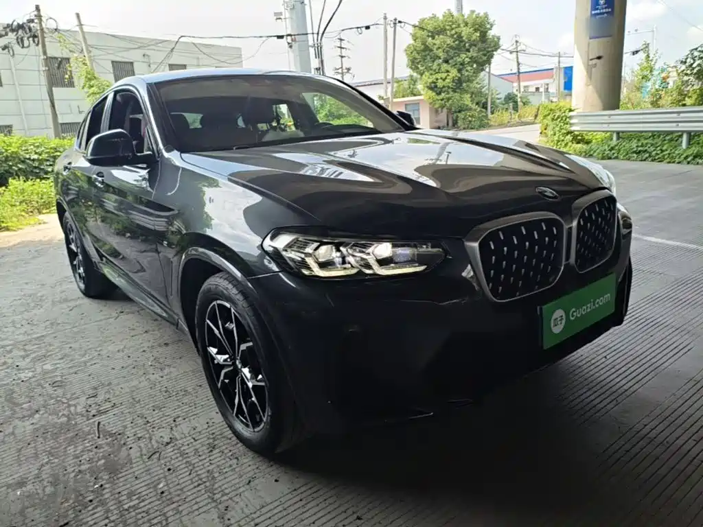 BMW X4 — миниатюра 4