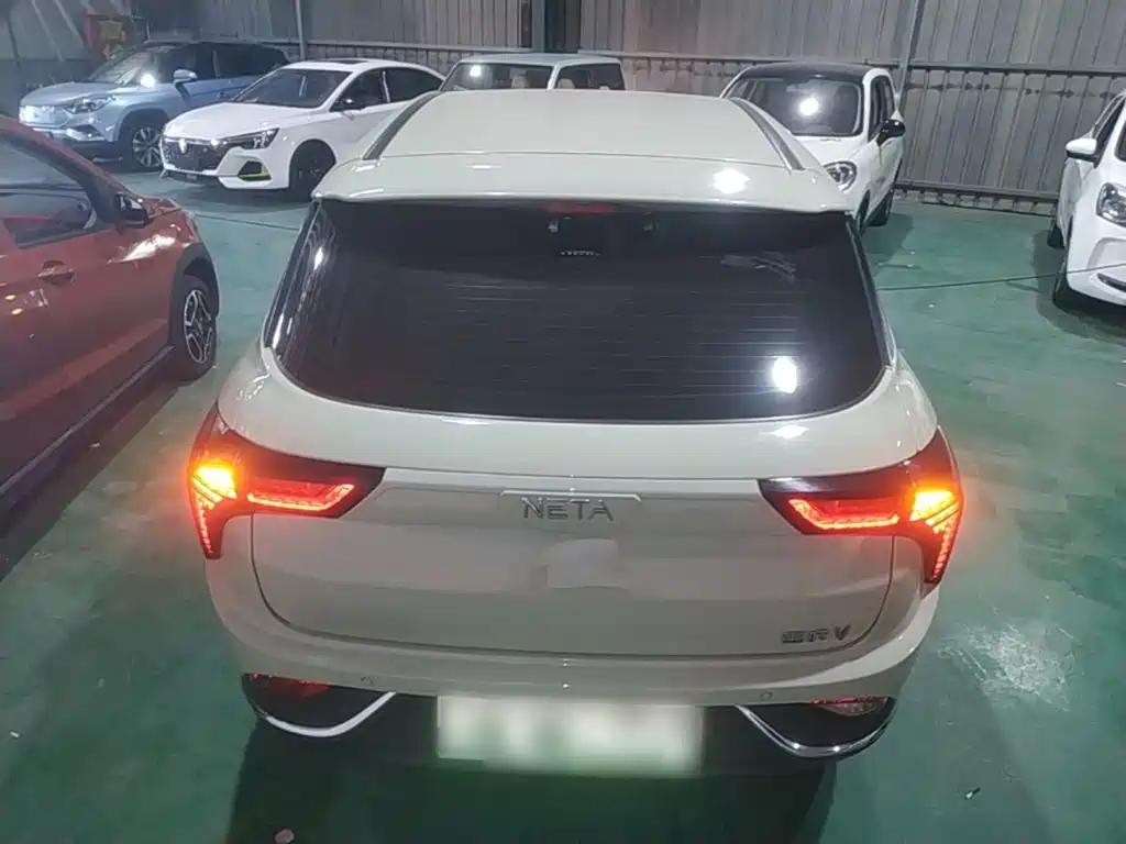Neta Neta V — миниатюра 6