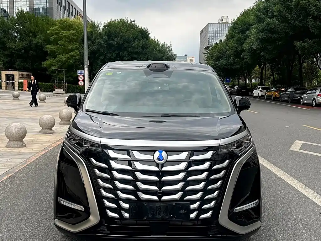 Denza Denza D9 — миниатюра 2