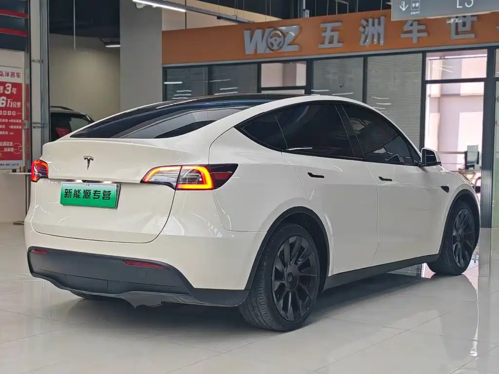Tesla Model Y — миниатюра 10