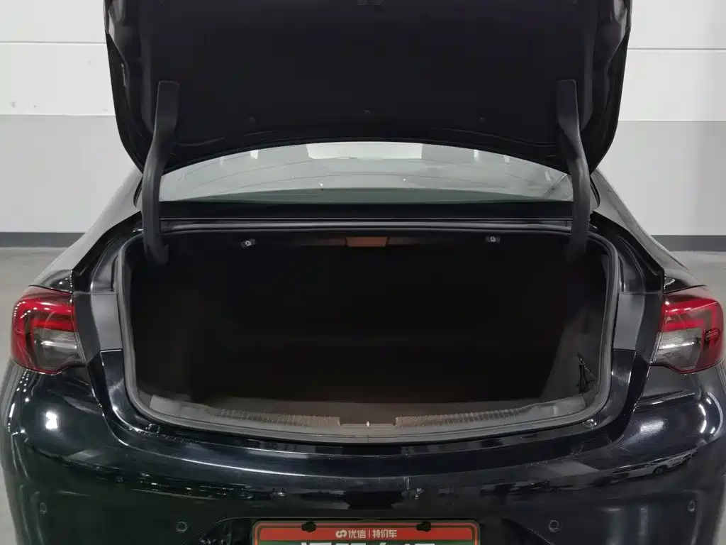 Buick Regal — миниатюра 16