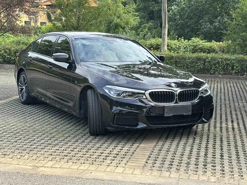 BMW 5 Series — миниатюра 2