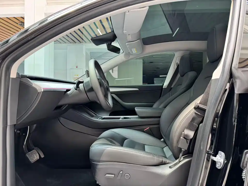 Tesla Model Y — миниатюра 10