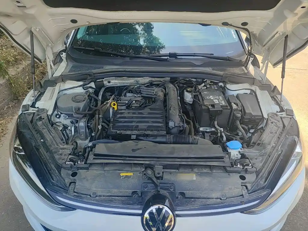 Volkswagen Lamando — миниатюра 20