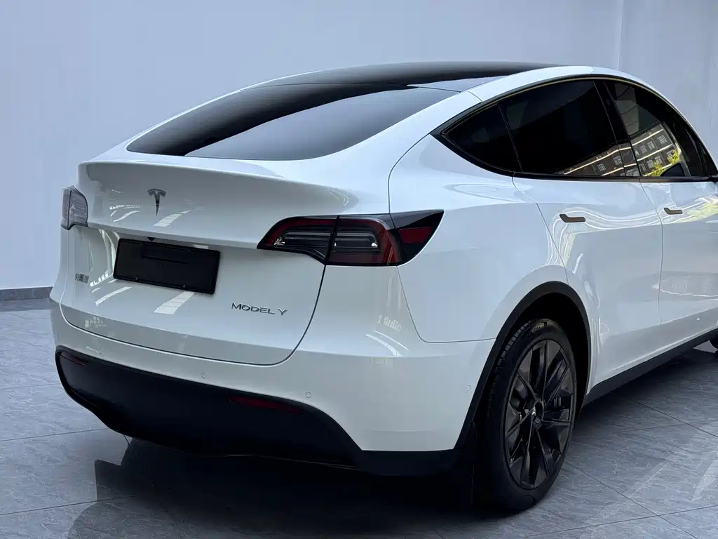Tesla Model Y — миниатюра 16