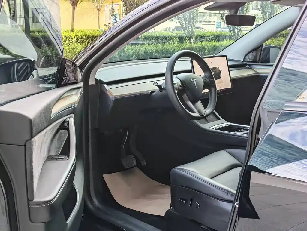 Tesla Model Y — миниатюра 4