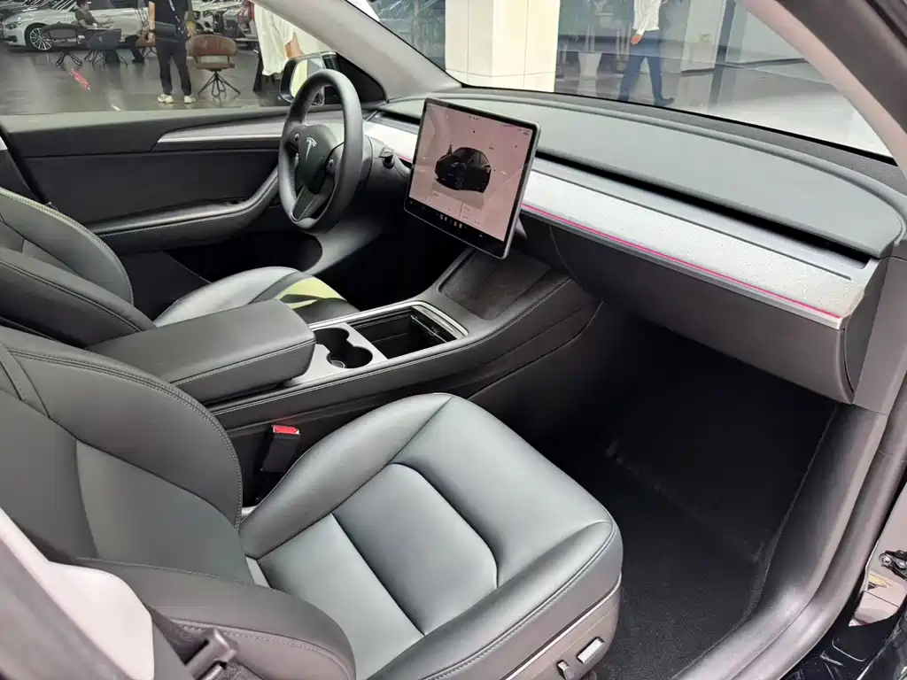 Tesla Model Y — миниатюра 19