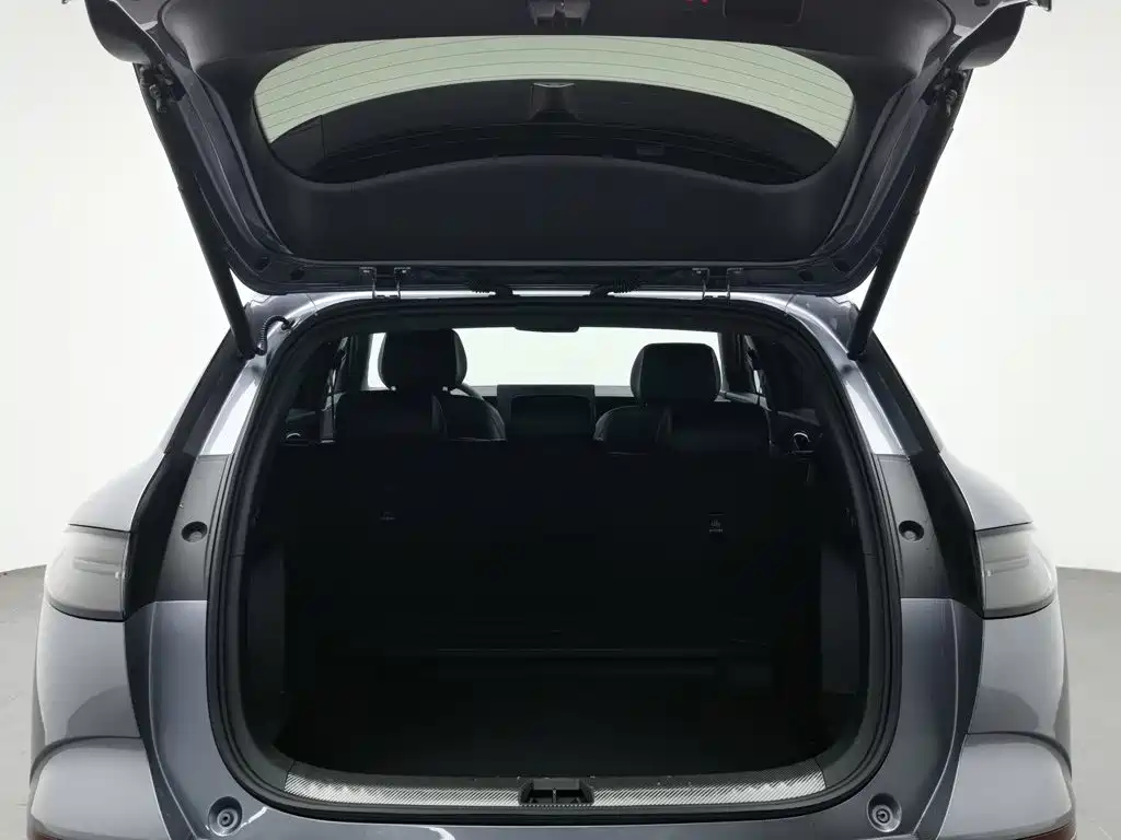 BYD Haisi 06 — миниатюра 16