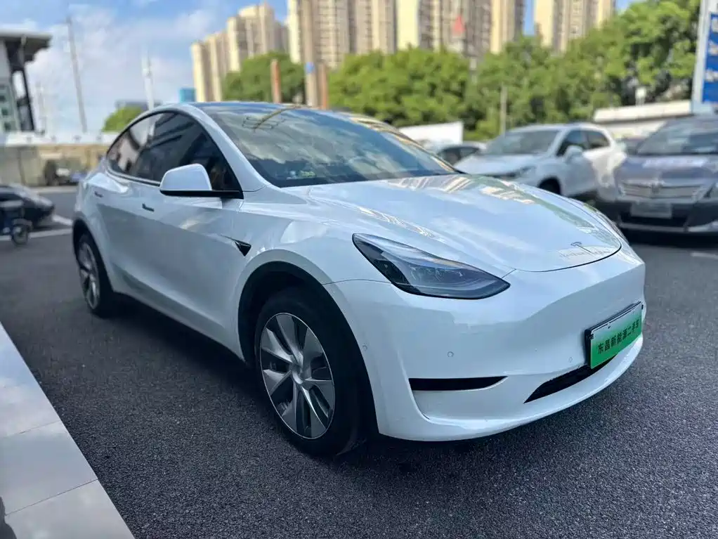 Tesla Model Y — миниатюра 4