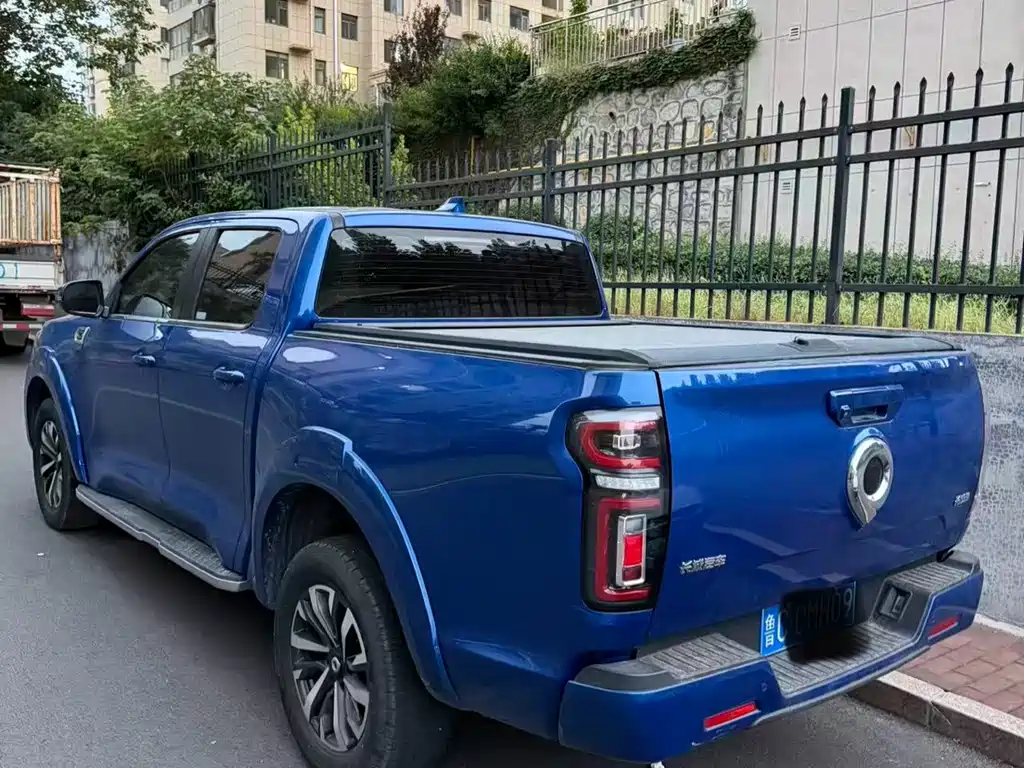 Great Wall Pao — миниатюра 8